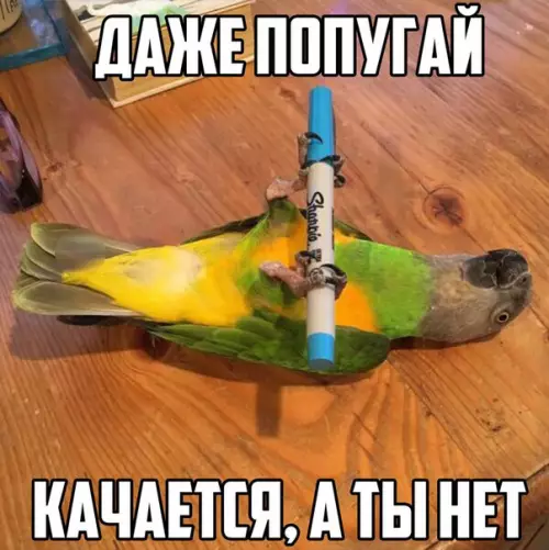 Смешная картинка №216911