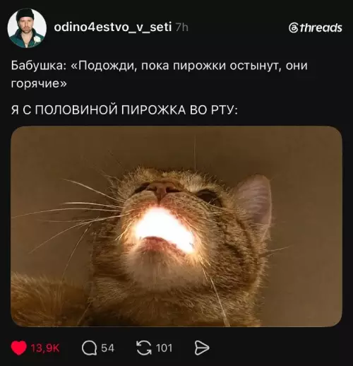 Тот самый момент с горячими пирожками 🥐🔥 - Бабушка: Подожди, пока пирожки остынут, они горячие. Я с половиной
