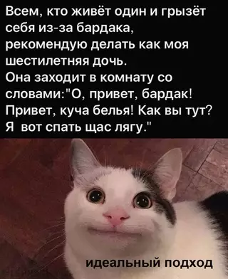 Смешная картинка №663112 Coвeт дня: