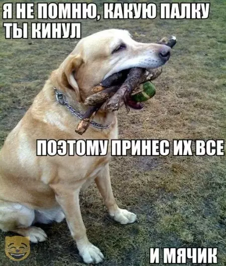 Смешная картинка №479943 #приколы #картинки #мемы ?