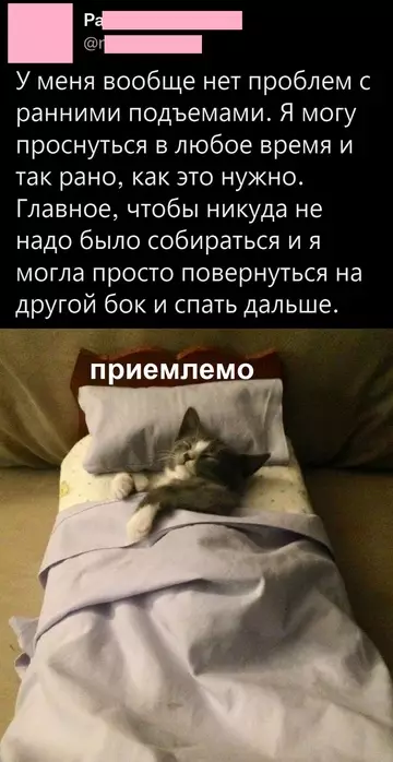Смешная картинка №747049 Приемлемо 