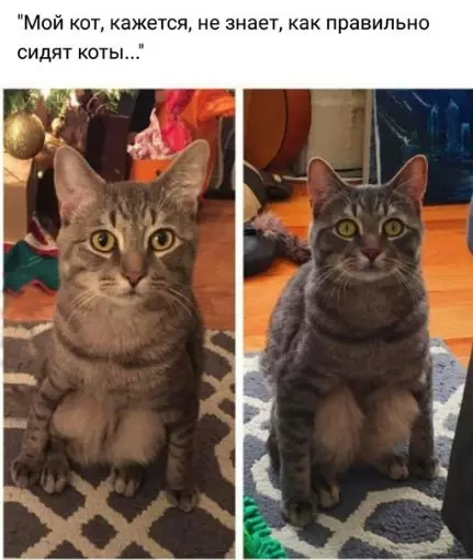 Смешная картинка №275507