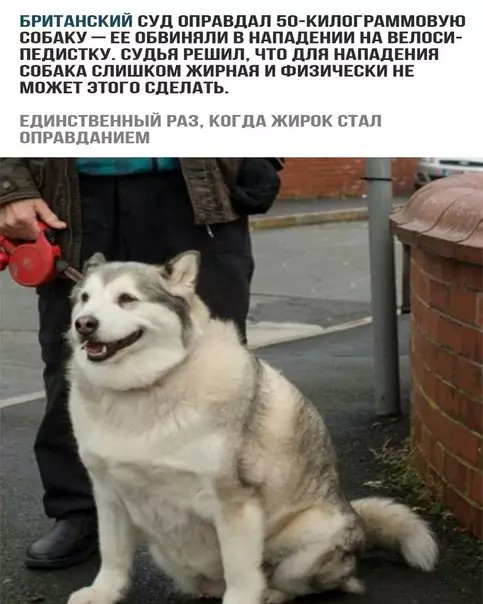Смешная картинка №249111