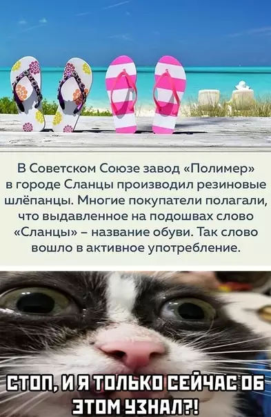Смешная картинка №492439