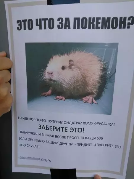 Смешная картинка №279307 Какой это покемон?