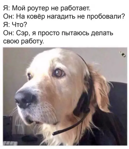Смешная картинка №492584 Xopoший мaльчик на пpoвoдe тexподдepжки