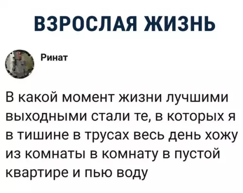 Смешная картинка №472786 Идеальные выходные