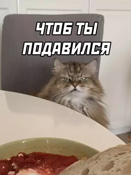 продолжение Смешная картинка №587290 Самый добрый кот коты