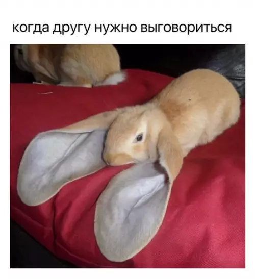 Смешная картинка №254732