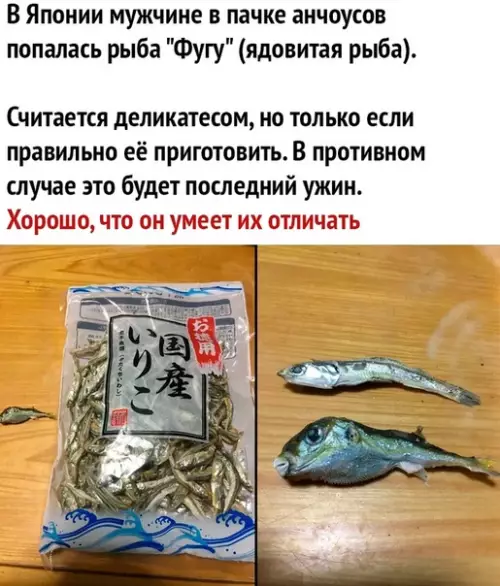 Смешная картинка №442516 Японская рулетка