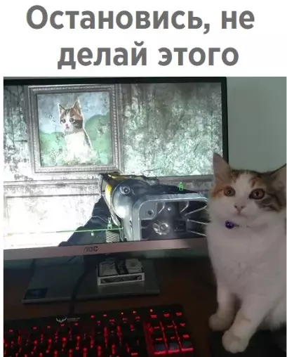 Смешная картинка №282744