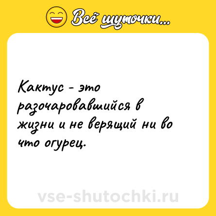 Шутка: Кактус - это разочаровавшийся в жизни и не верящий ни во что огурец.