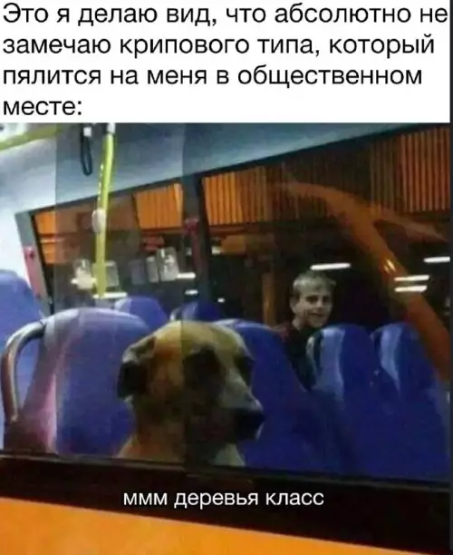 Когда пытаешся не палиться 😂🌳 - Это я делаю вид, что абсолютно не замечаю крипового типа,