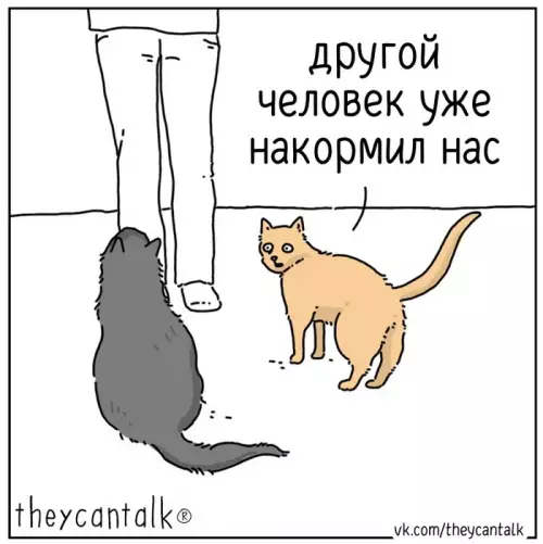 Смешная картинка №770572 Про котов
