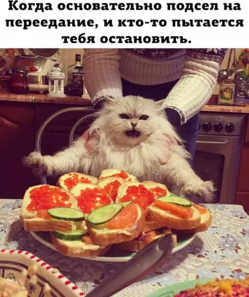 Смешная картинка №237080