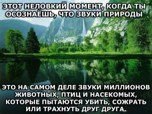 Смешная картинка №394678