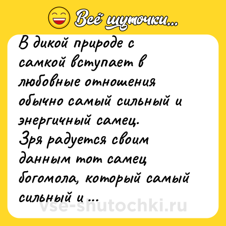 Шутка: В дикой природе с самкой вступает в любовные отношения обычно самый сильный и энергичный самец.<br>Зря радуется своим данным тот самец богомола, который самый сильный и энергичный.<br>