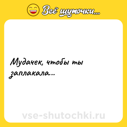 Шутка: Мудачек, чтобы ты заплакала...