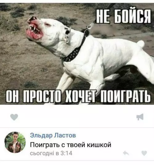Смешная картинка №218627