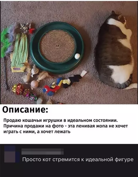 Смешная картинка №499283