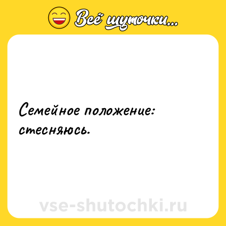 Шутка: Семейное положение: стесняюсь.