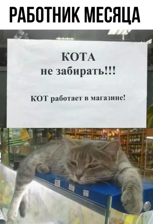 Смешная картинка №783959