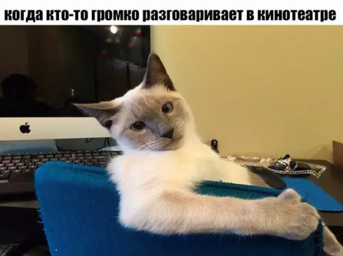 Смешная картинка №423899