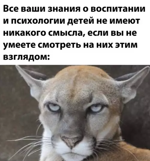 Смешная картинка №542112