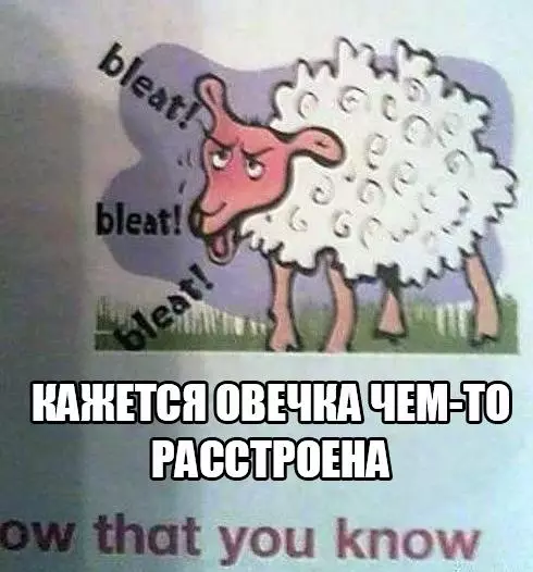 Смешная картинка №197648