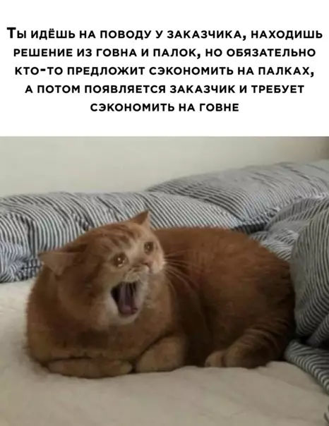 Смешная картинка №543623