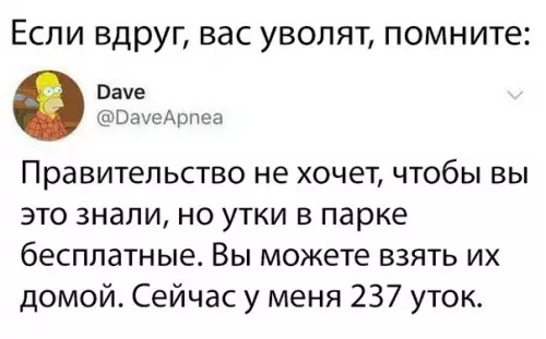 Смешная картинка №381783