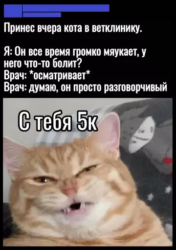 Смешная картинка №760761