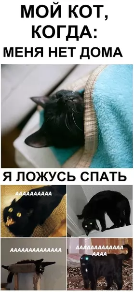 Смешная картинка №344890