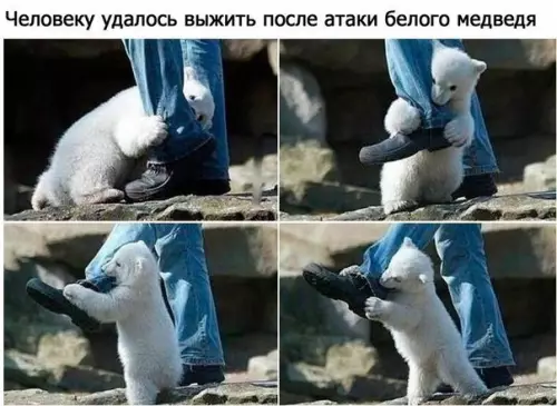 Смешная картинка №303225