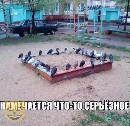 Смешная картинка №355126 #приколы #картинки #мемы ?