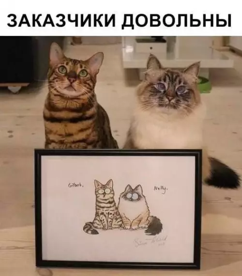 Смешная картинка №664698 картинки