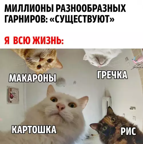 Смешная картинка №697548