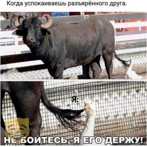 Смешная картинка №316539
