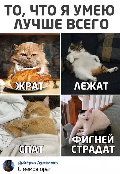 Смешная картинка №570468