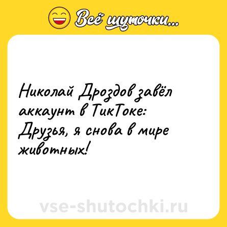 Шутка: Николай Дроздов завёл аккаунт в ТикТоке: Друзья, я снова в мире животных!