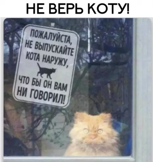 Смешная картинка №248809