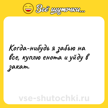 Шутка: Когда-нибудь я забью на все, куплю енота и уйду в закат.