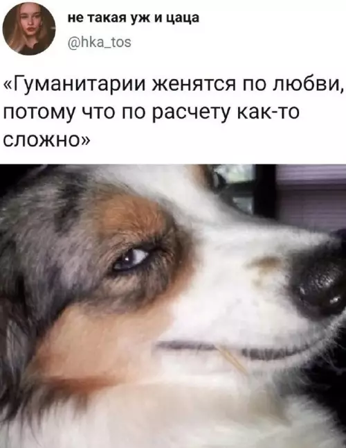 Смешная картинка №663181