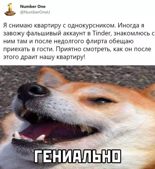 Смешная картинка №569577
