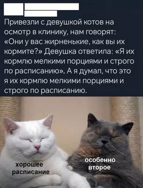 Смешная картинка №774637