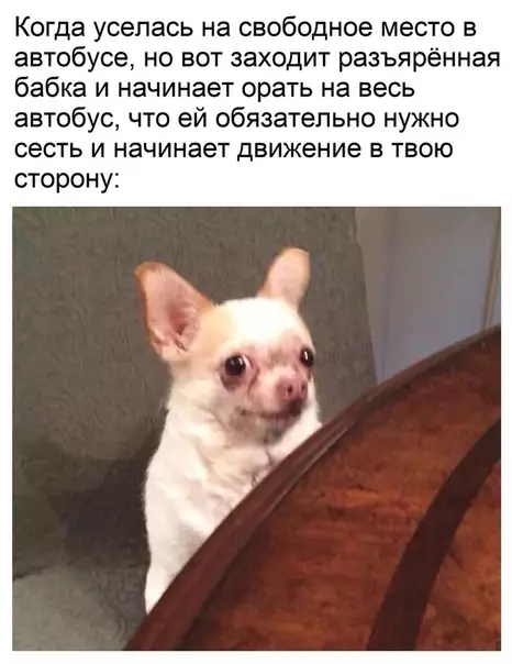 Смешная картинка №373415 О, это знакомое чувство