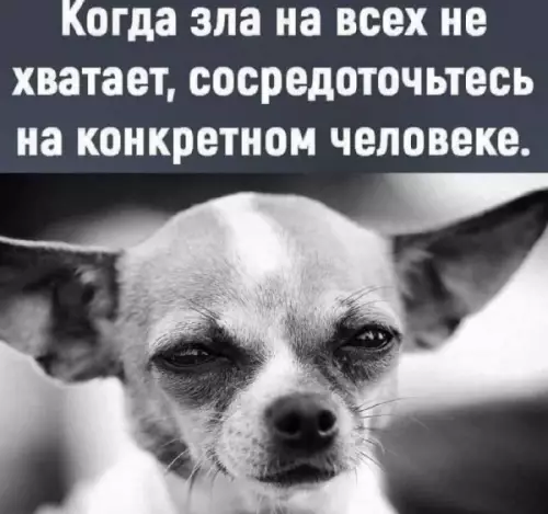Сосредоточься на конкретном человеке - Когда зла на всех не хватает, сосредоточьтесь на конкретном человеке.