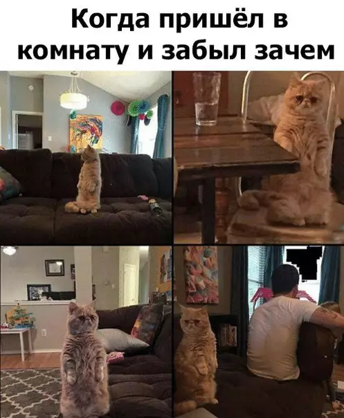 Смешная картинка №216486