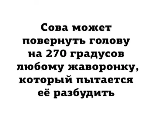 Смешная картинка №362421