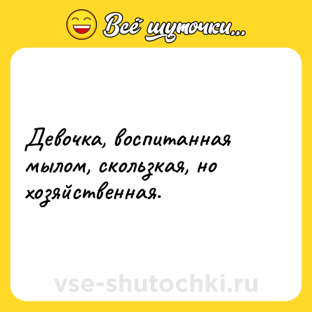 Шутка: Девочка, воспитанная мылом, скользкая, но хозяйственная.